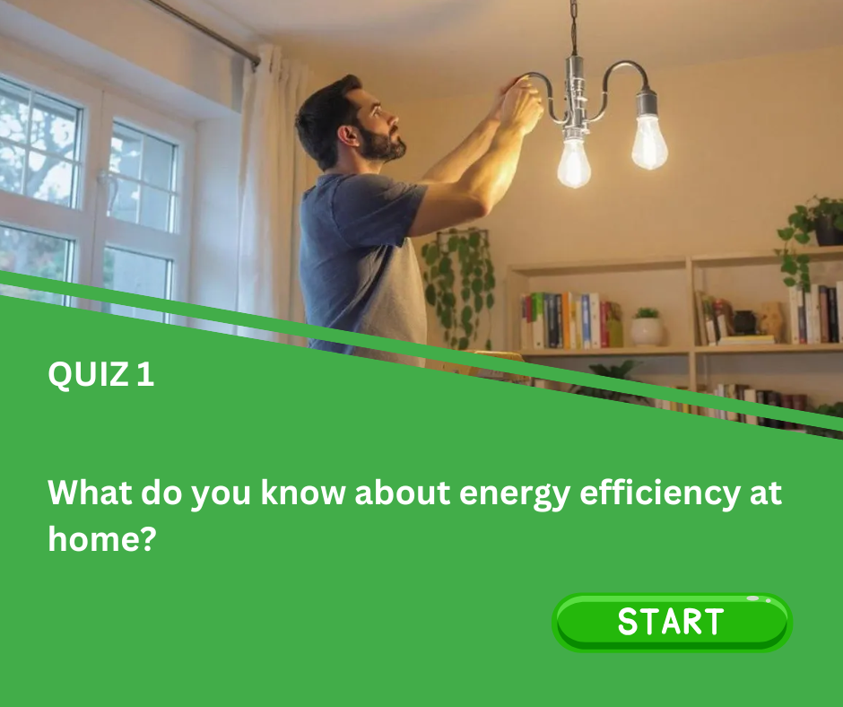 Էներգաարդյունավետ վարքագիծ